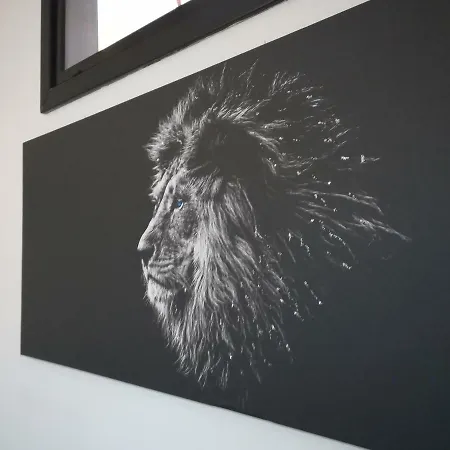 Il Leone Empoli